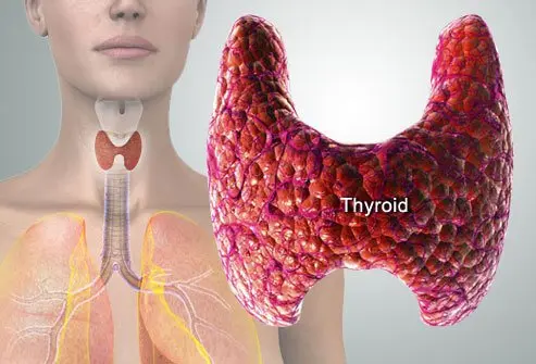 Thyroid Treatment
